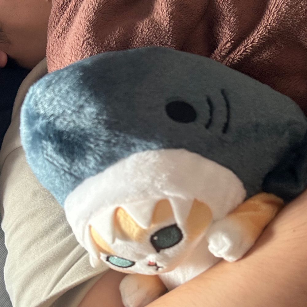 たぬ