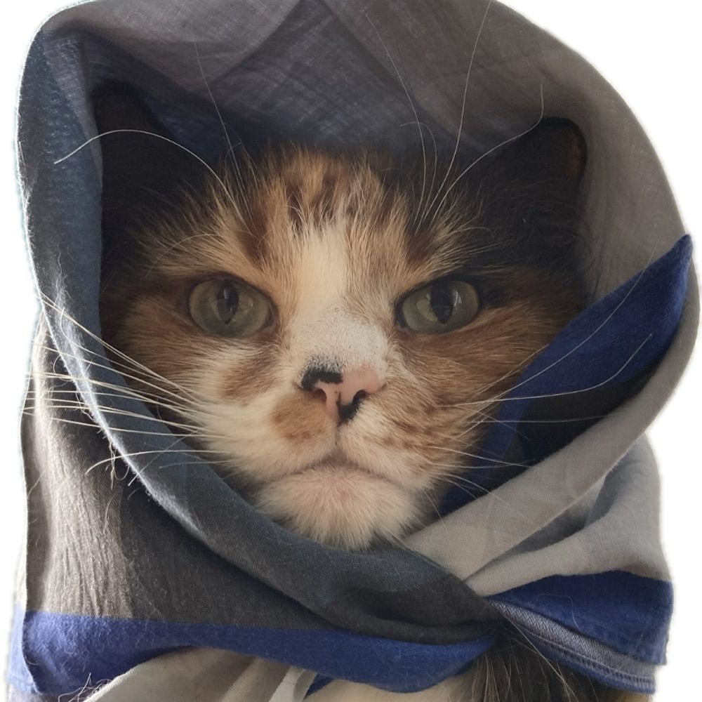 Nur