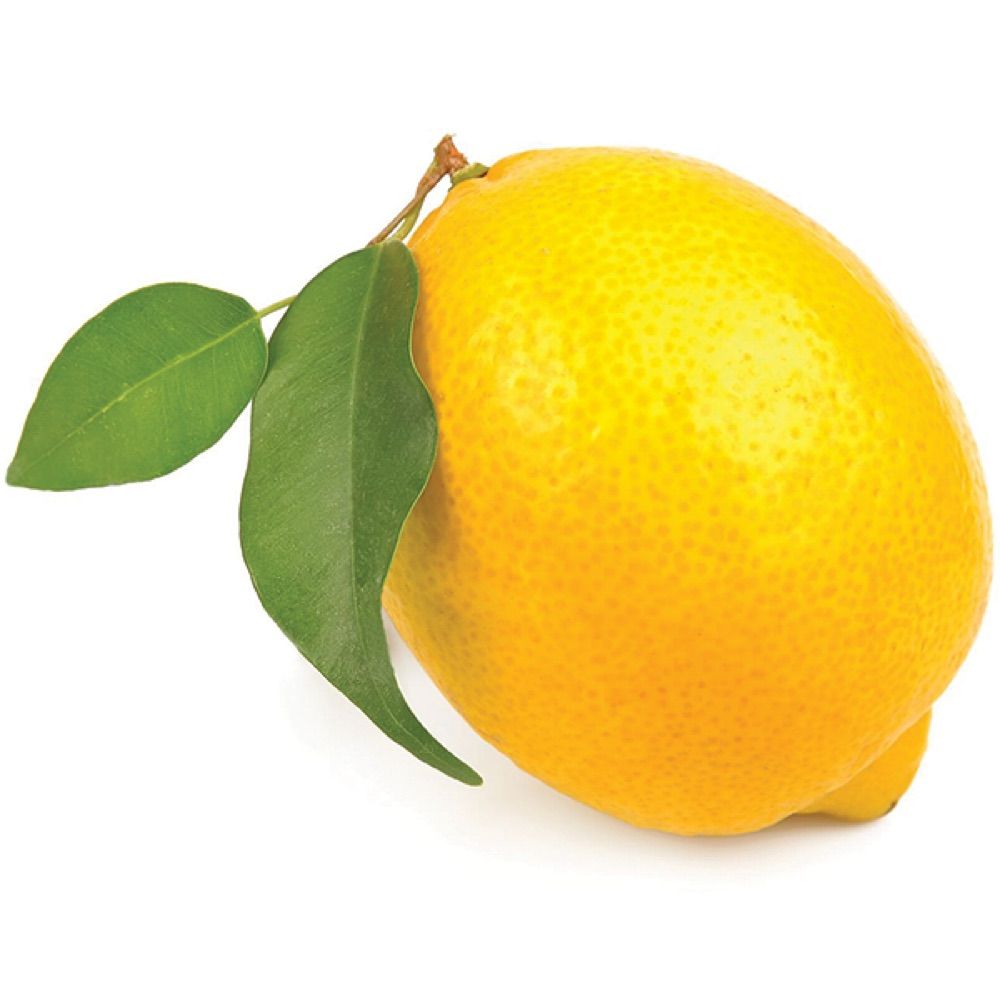 wallywasa