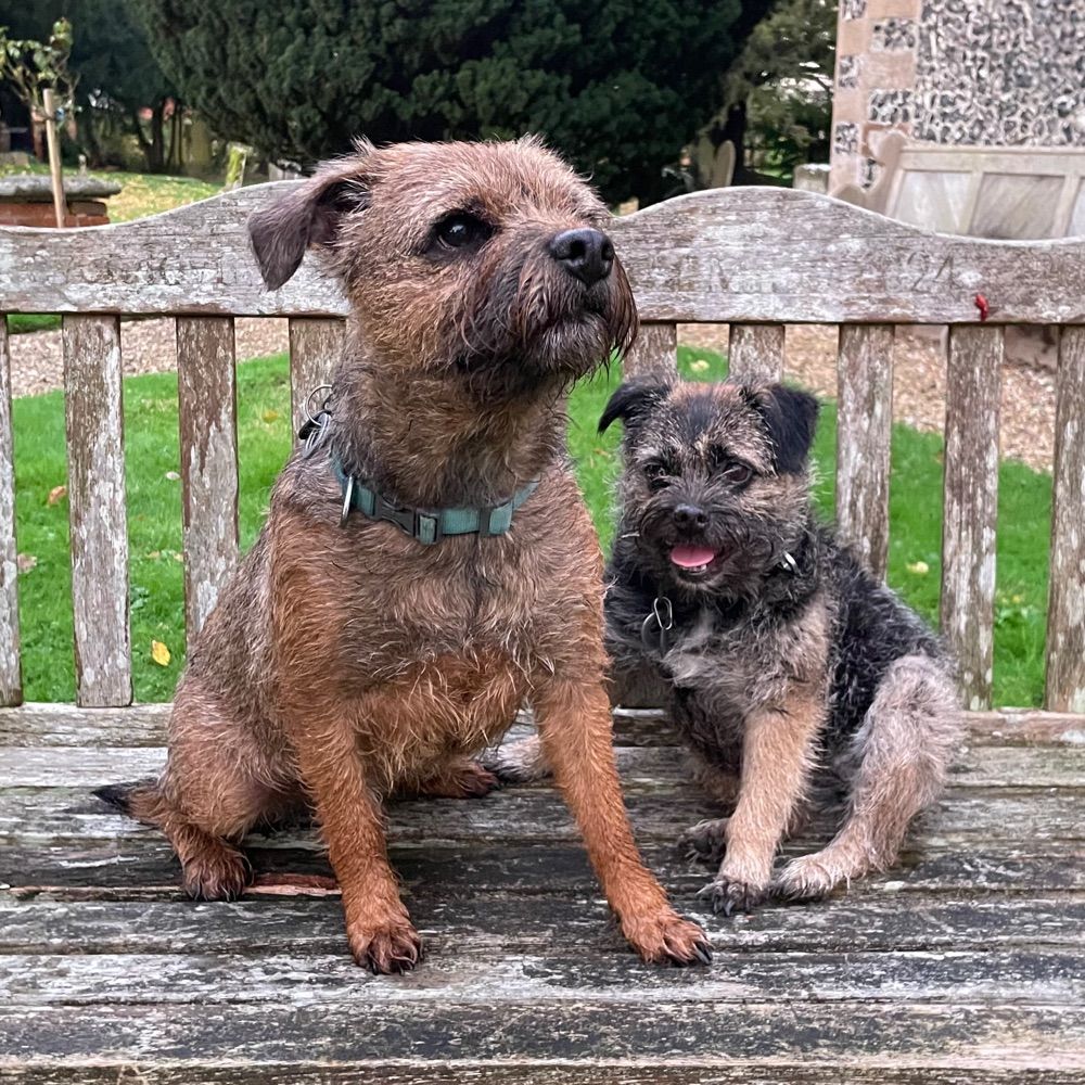 Bruff & Trudy BTs from South Bucks.