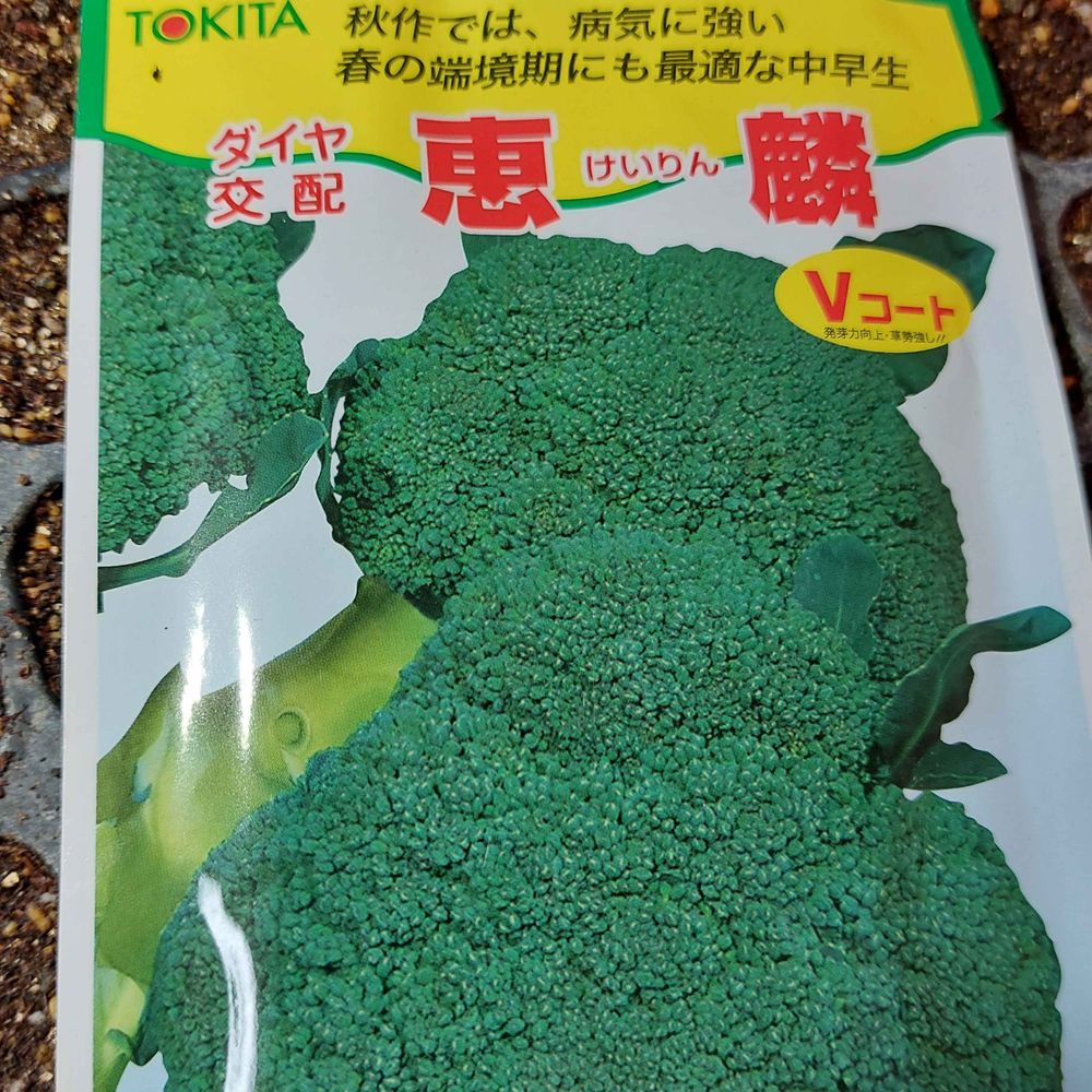 とよしまかず入