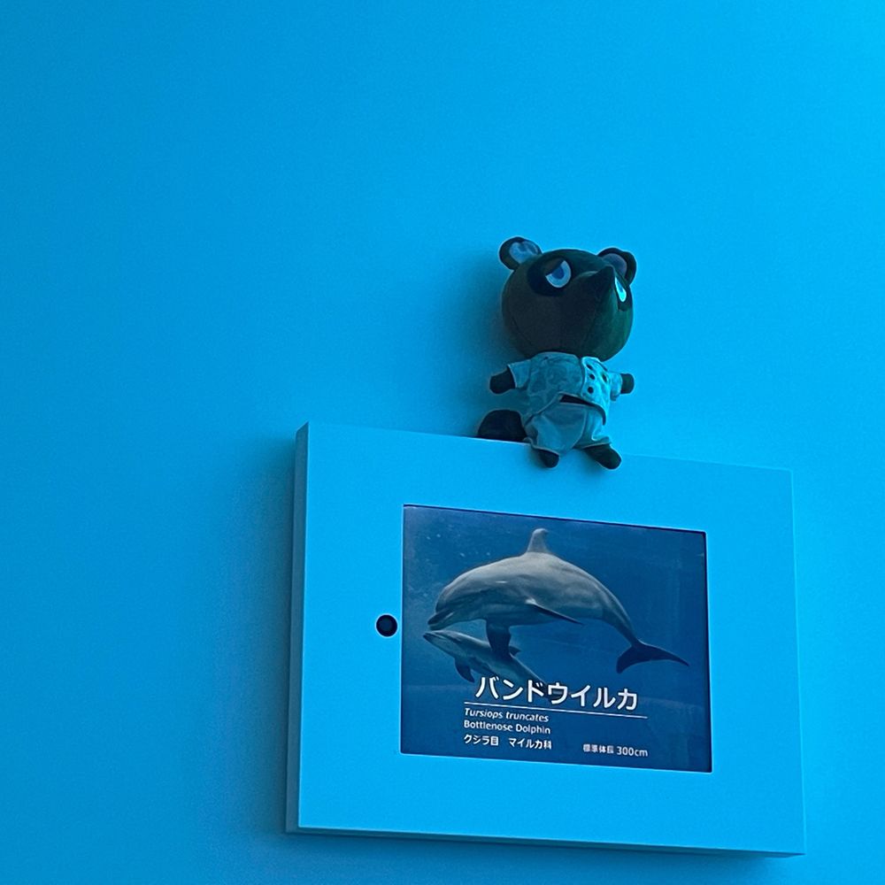 ｱ!