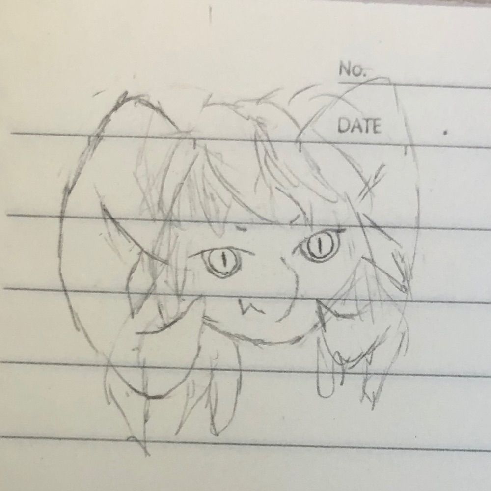ｸｫｰﾂドラさん