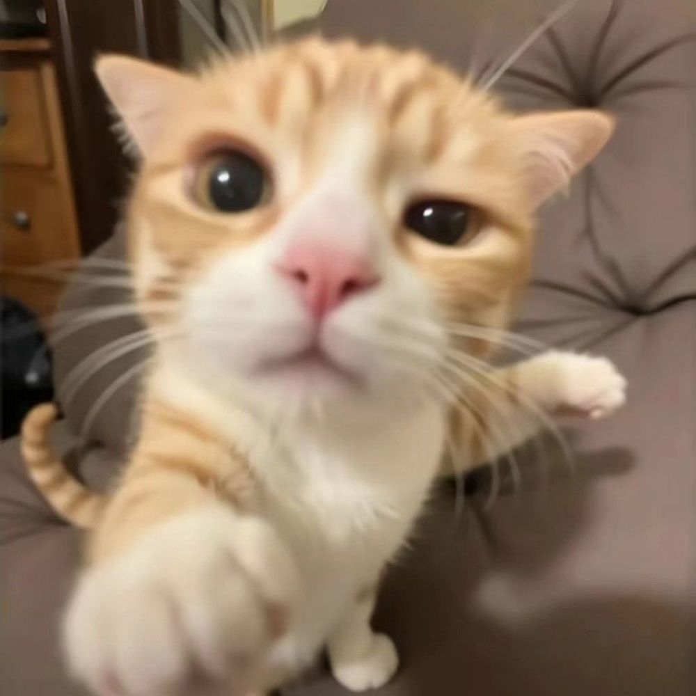 ฅ⁠^⁠•⁠ﻌ⁠•⁠^⁠ฅ