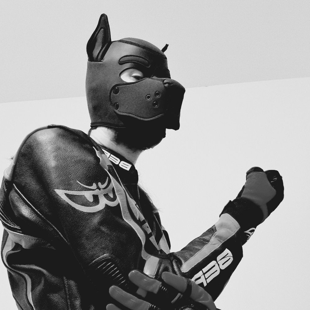 GearMutt