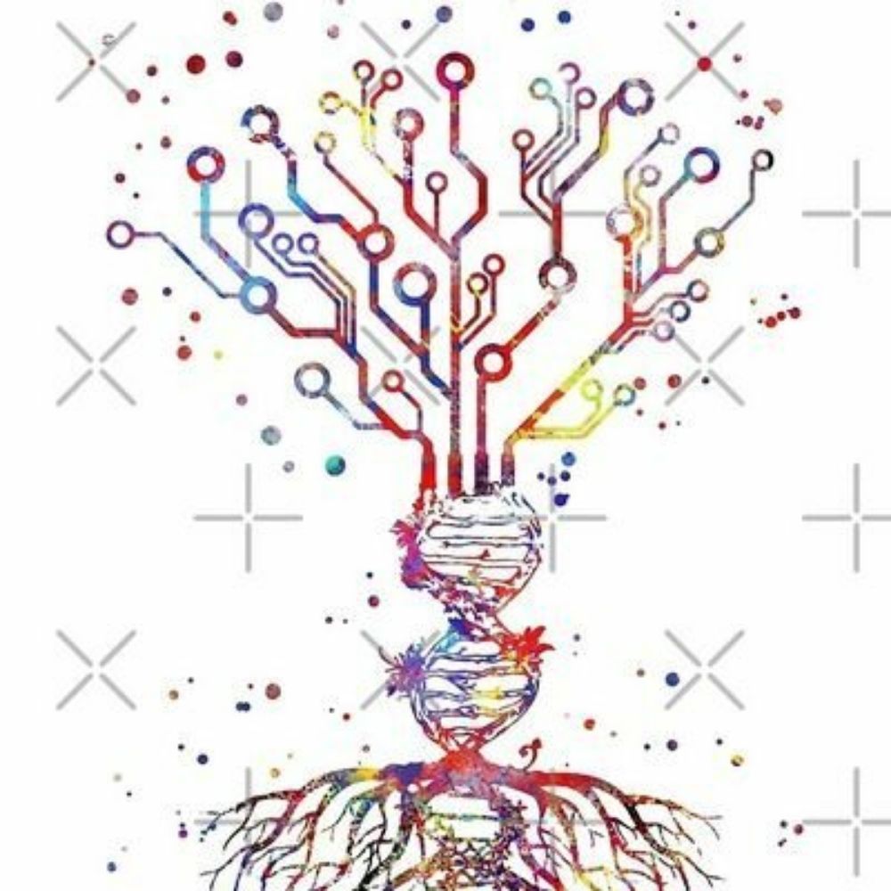 Enki 月虎