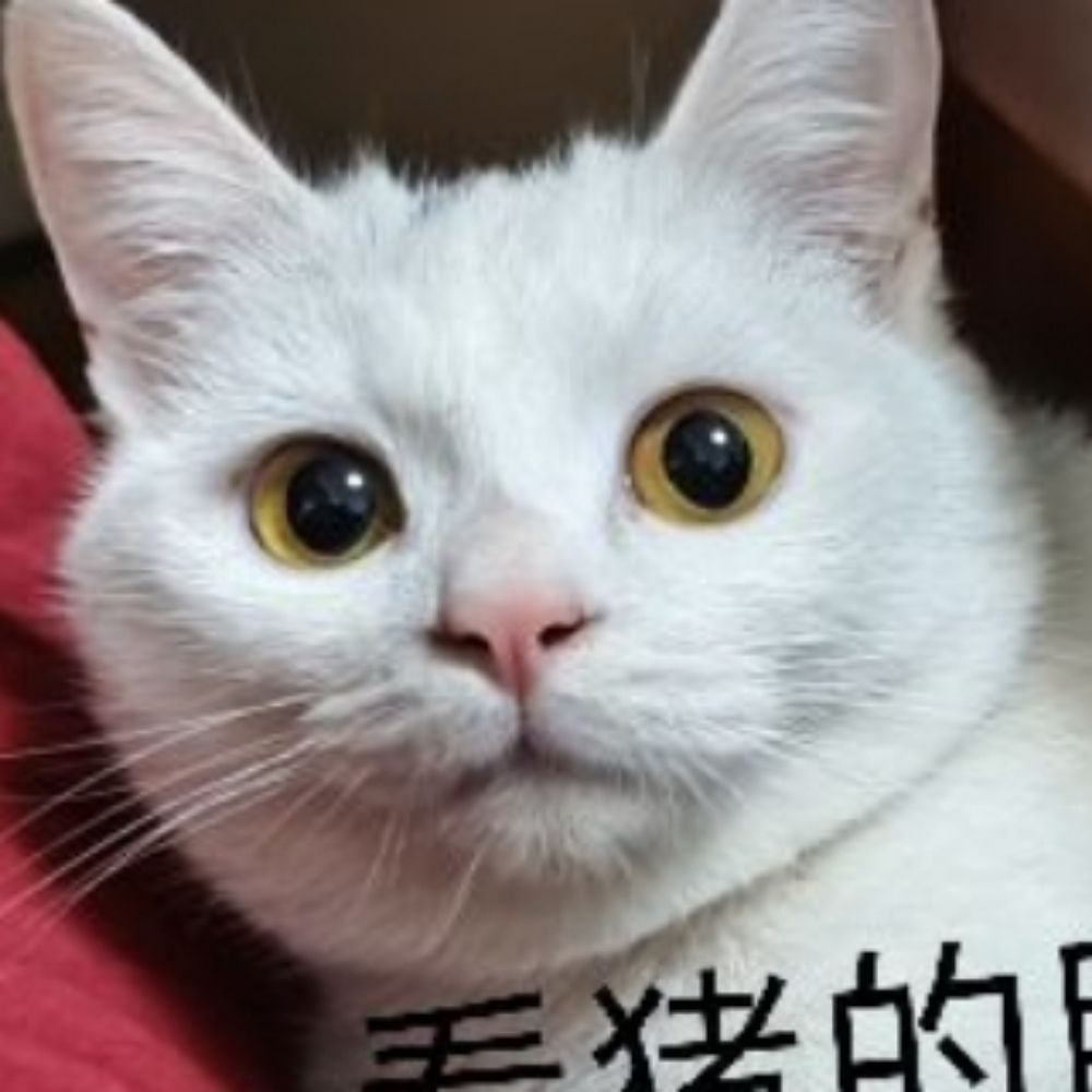 千島