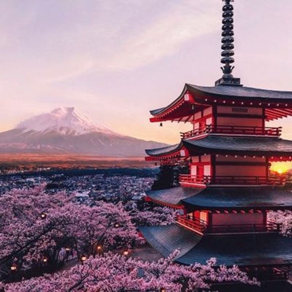 Aesthetics Japan - 日本