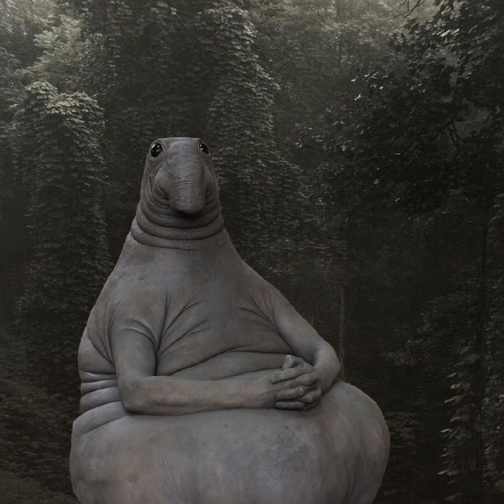Potato
