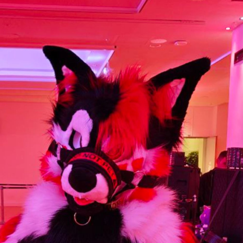 OrionAfterBark
