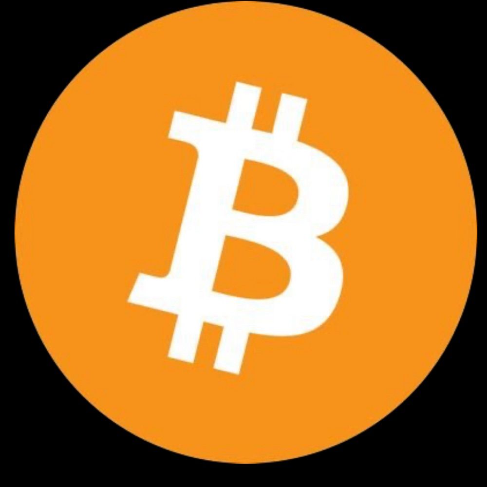 Profile picture craidbitcoin66.bsky.social