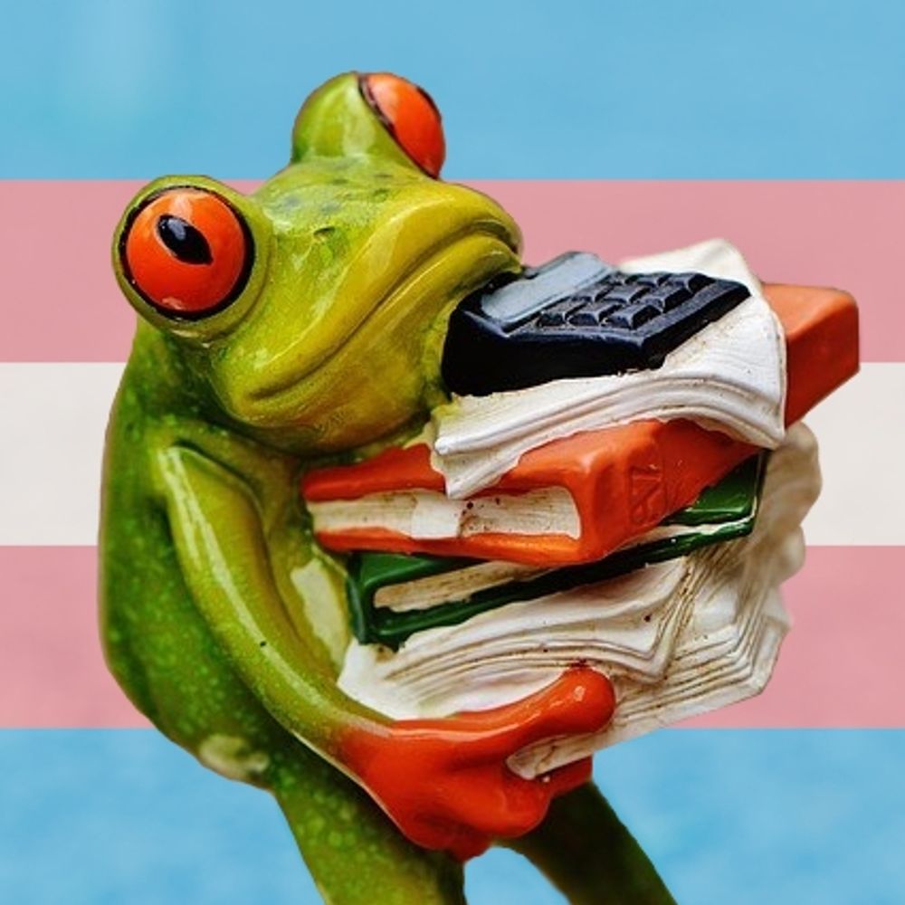DocFrog