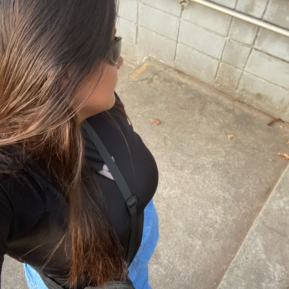 fefa🕸️