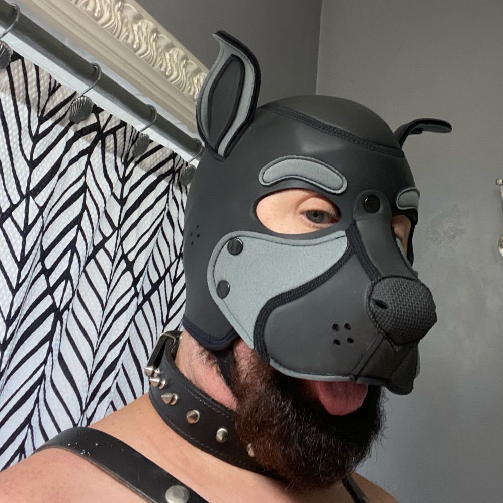 Rex Wolfpup
