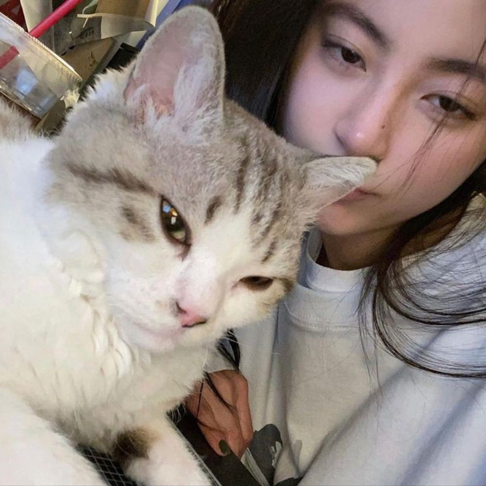 𝗕𝗨𝗟
