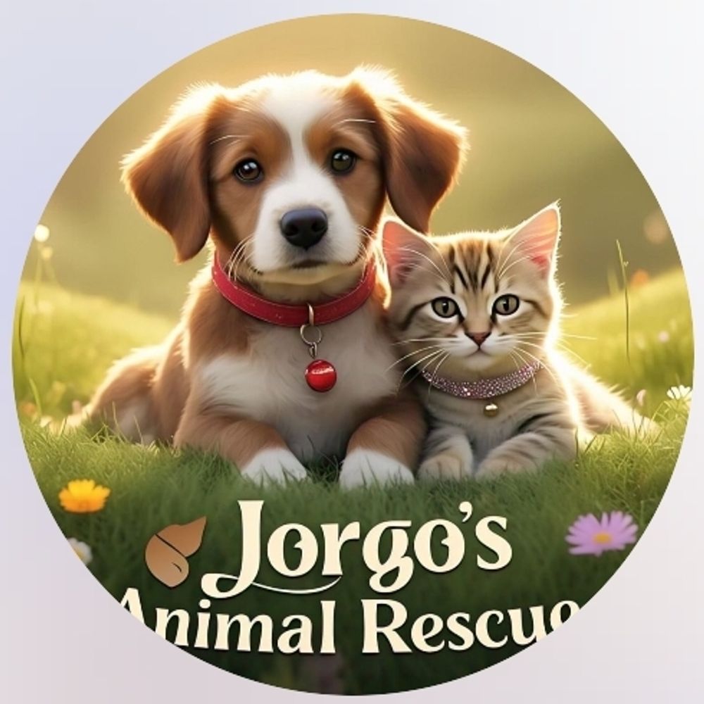 JORGOS ANIMAL RESCUE