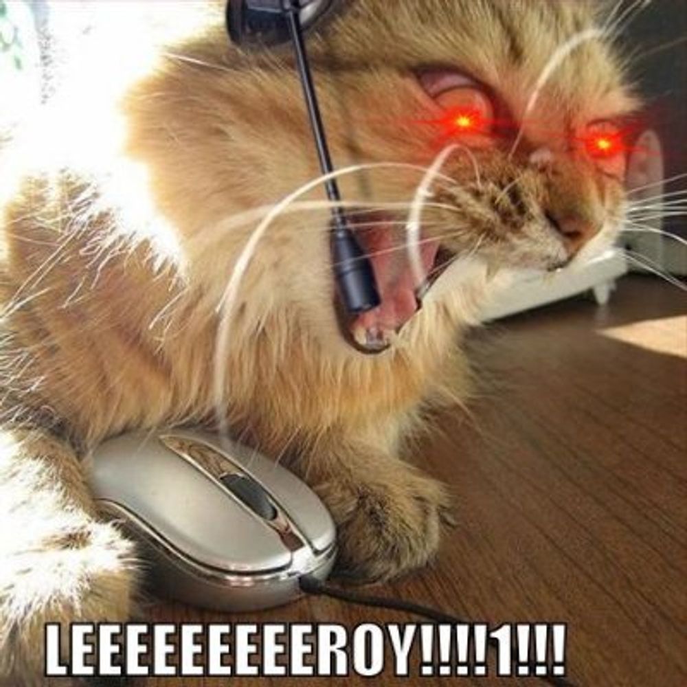 sirmrmeowmeow