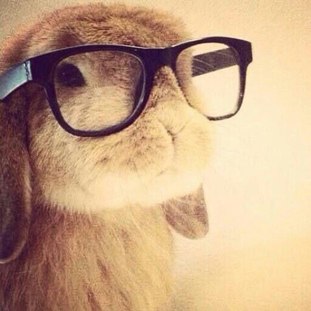 bunnibel ♡