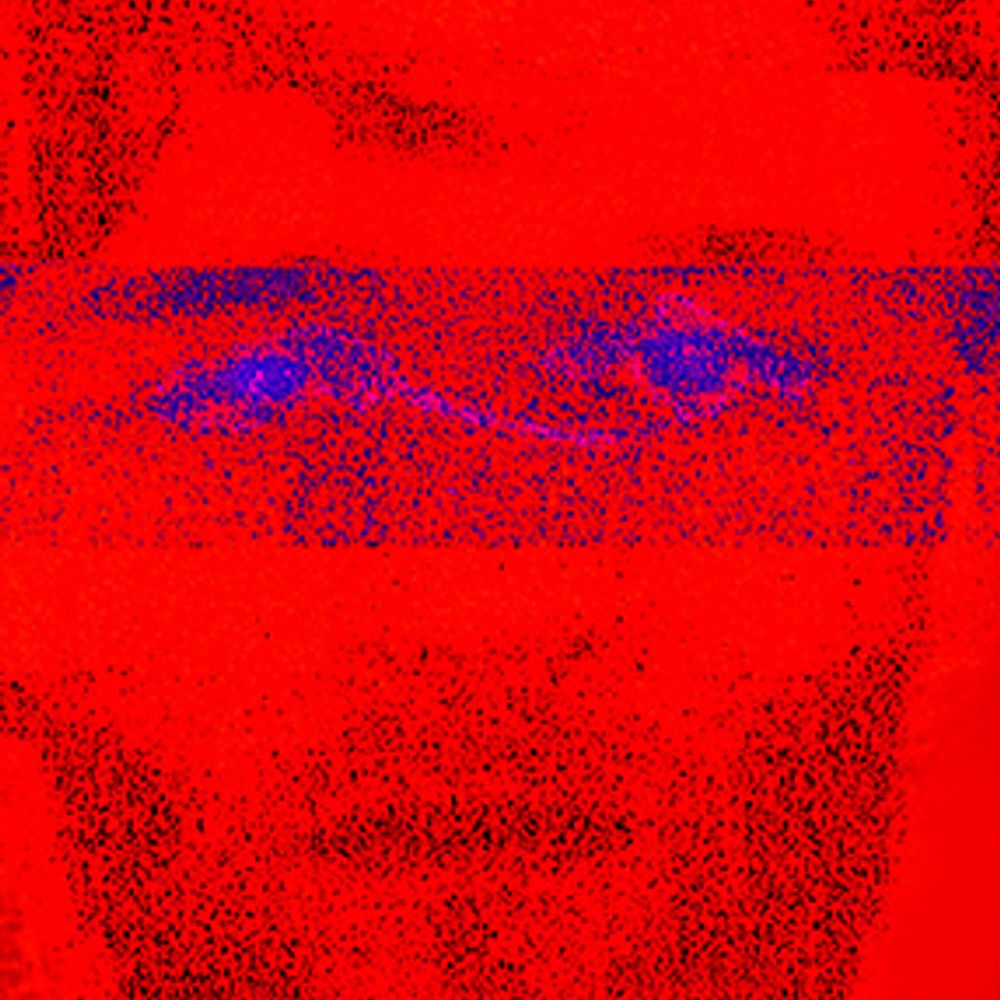 STEVEM