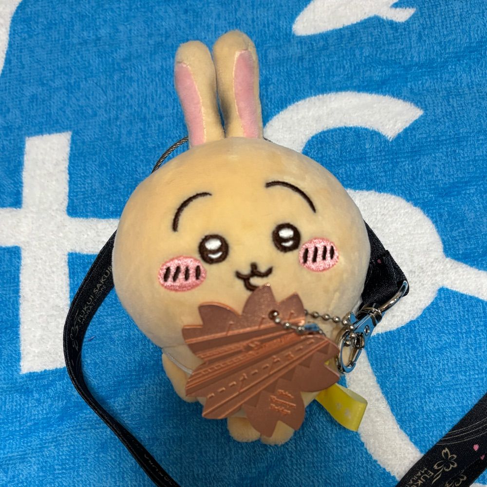 めぐか