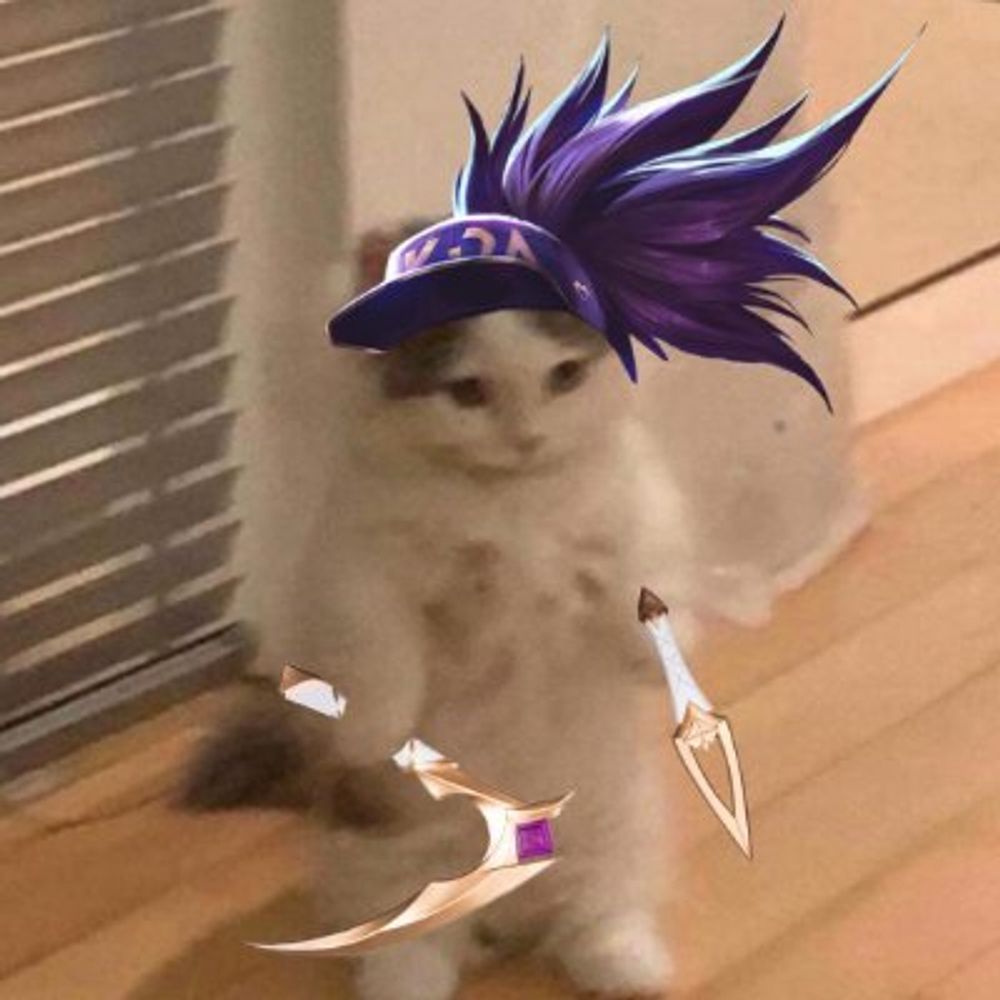 coco açai fan acc