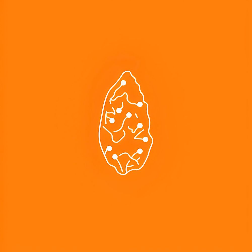 ARQUEOCOCO