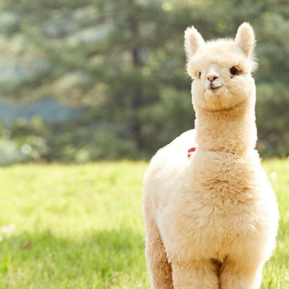적벽