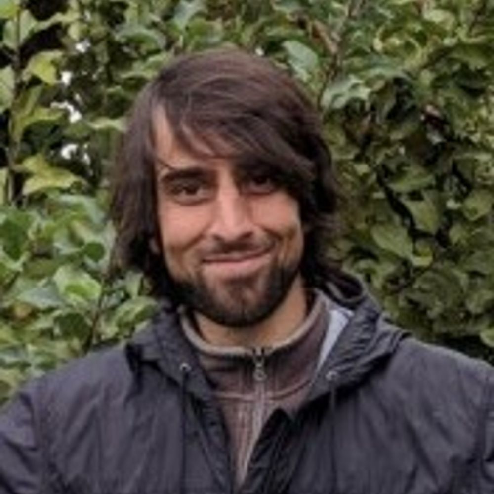 Hamed Gholizadeh 