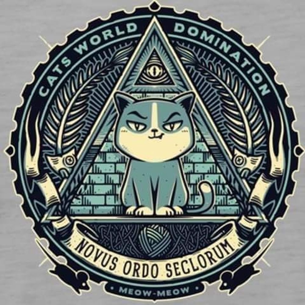 Cat Schrödinger