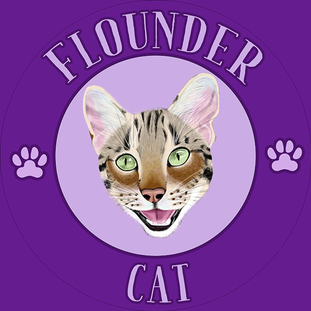 Profile picture floundercat.bsky.social