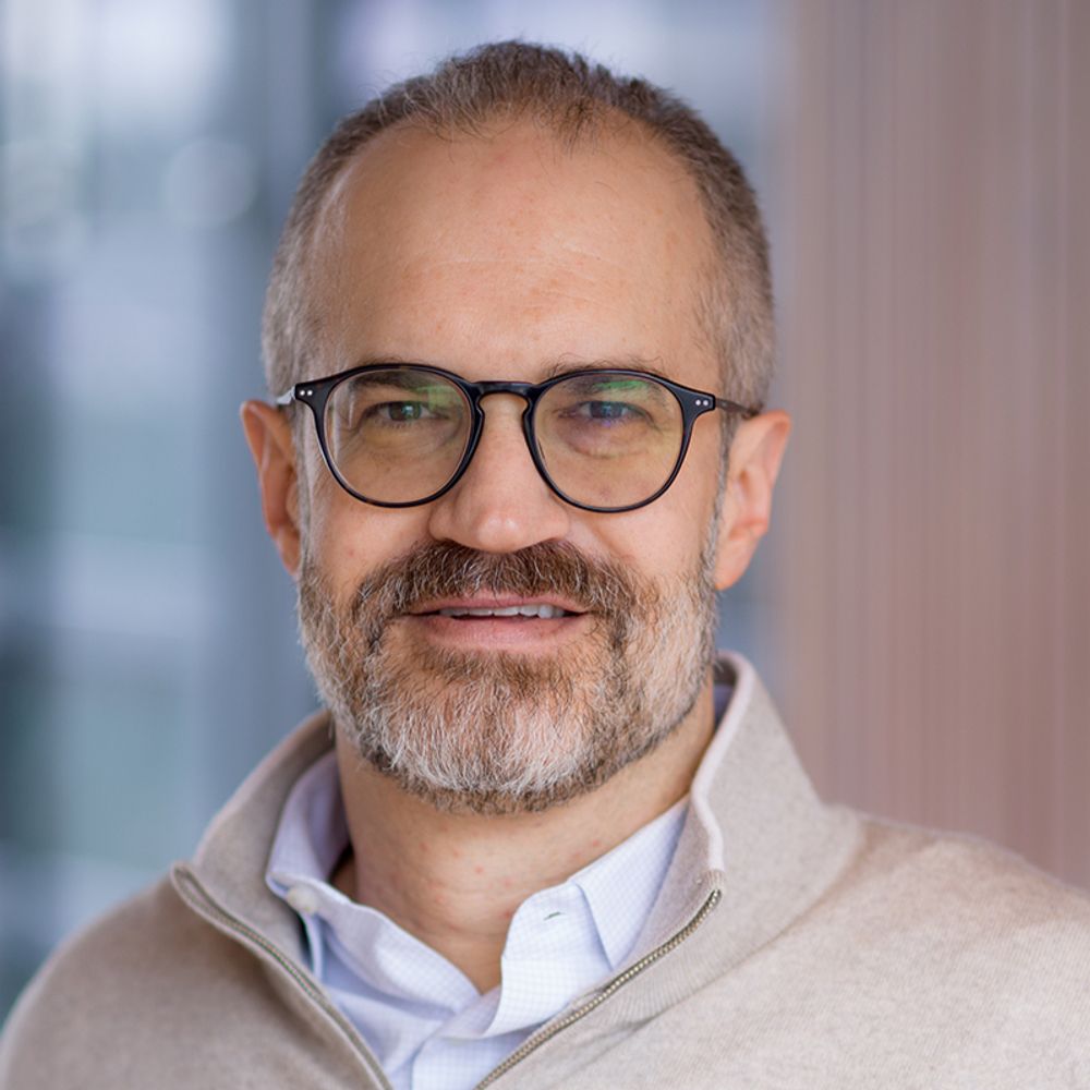David Shechter