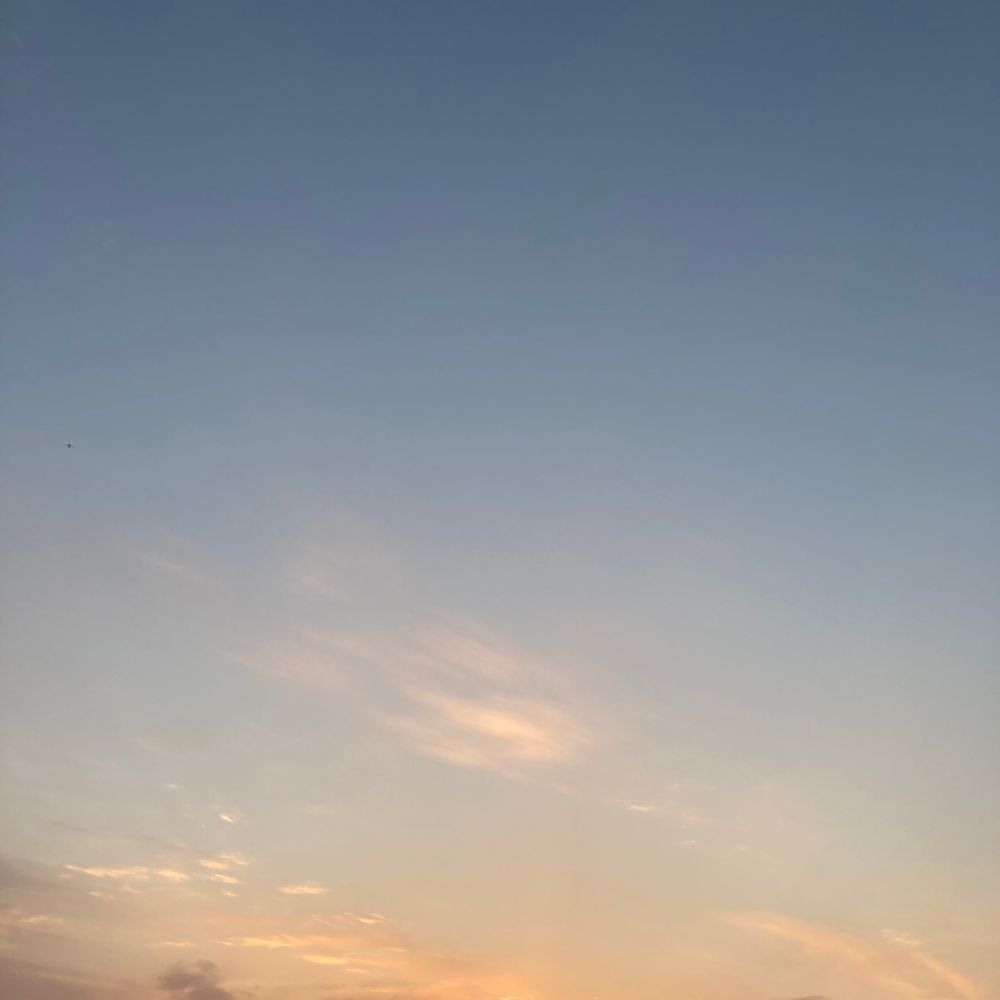 こんぺいとう