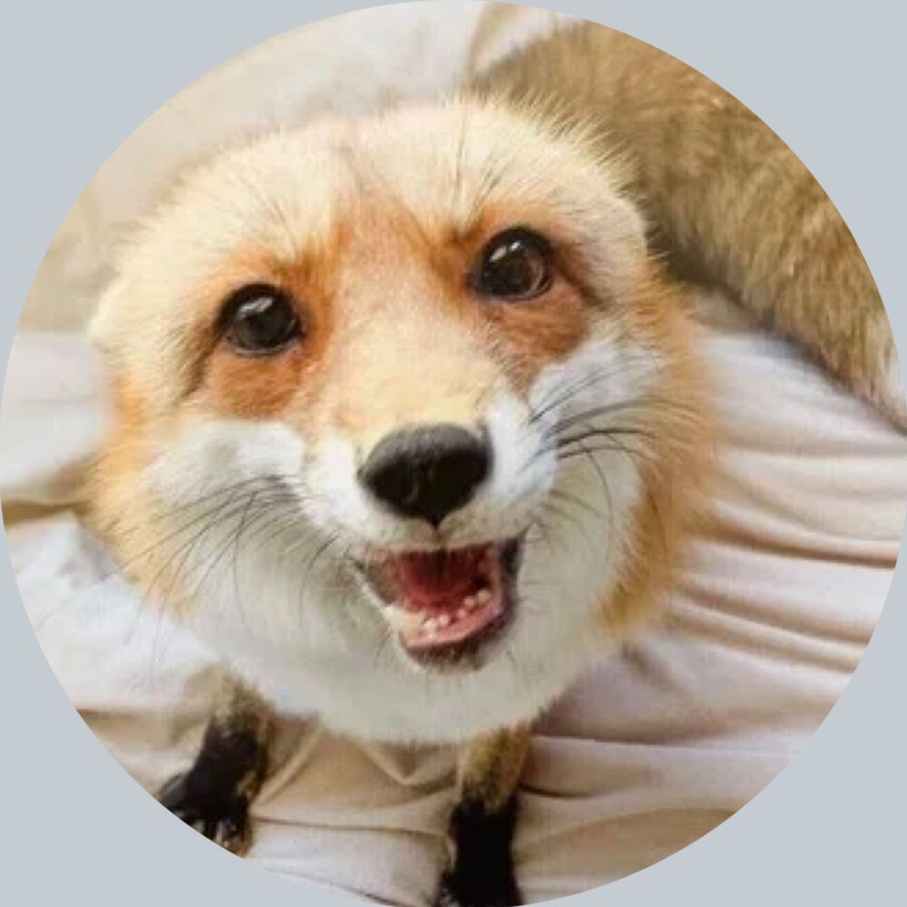 Kawauso/カワウソ