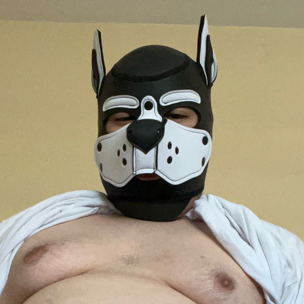 Pup Oat