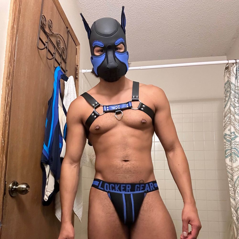 Pup Rocket