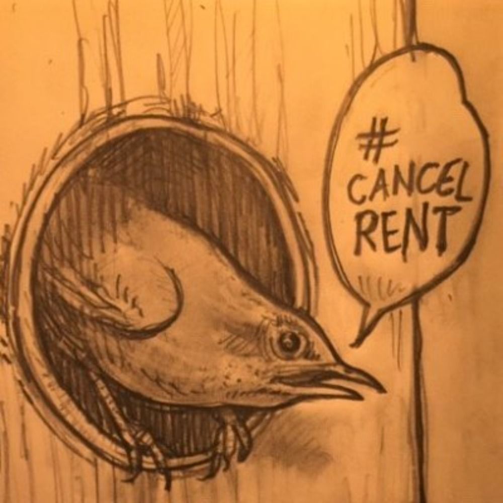 ⚫️ #CancelRent's avatar