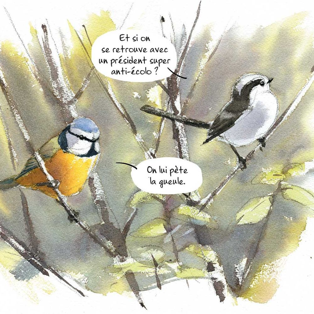 Antoine Maillard