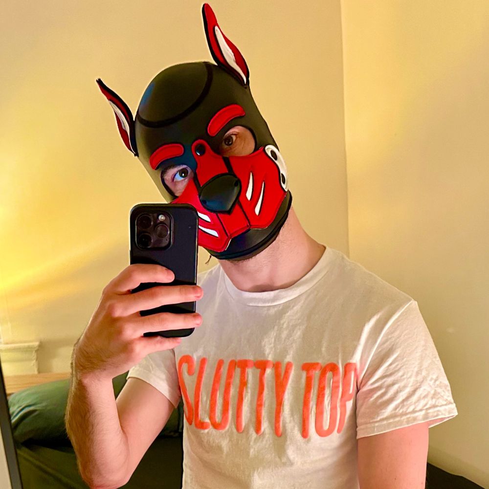 Pup Joystick