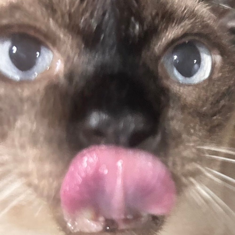 LY