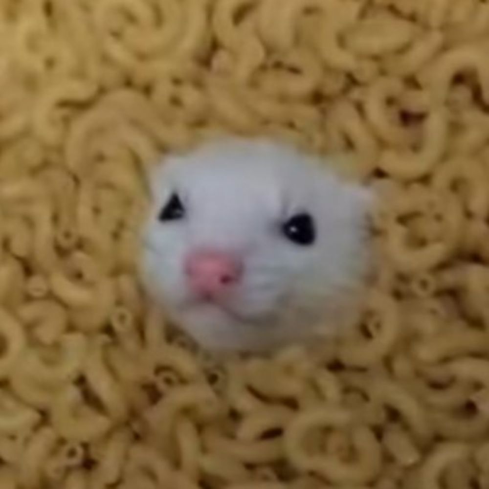 Pawlaqu