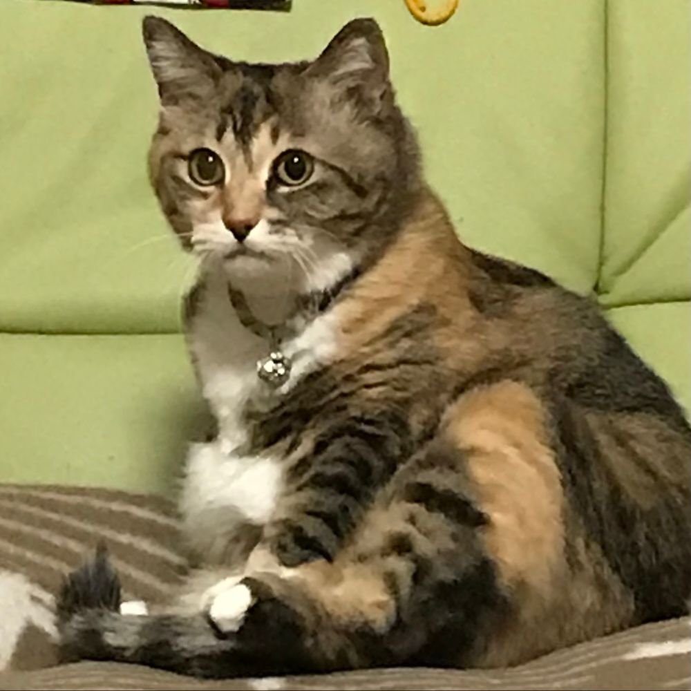 星崎いくよ@8/10ZINEフェス名古屋出ます