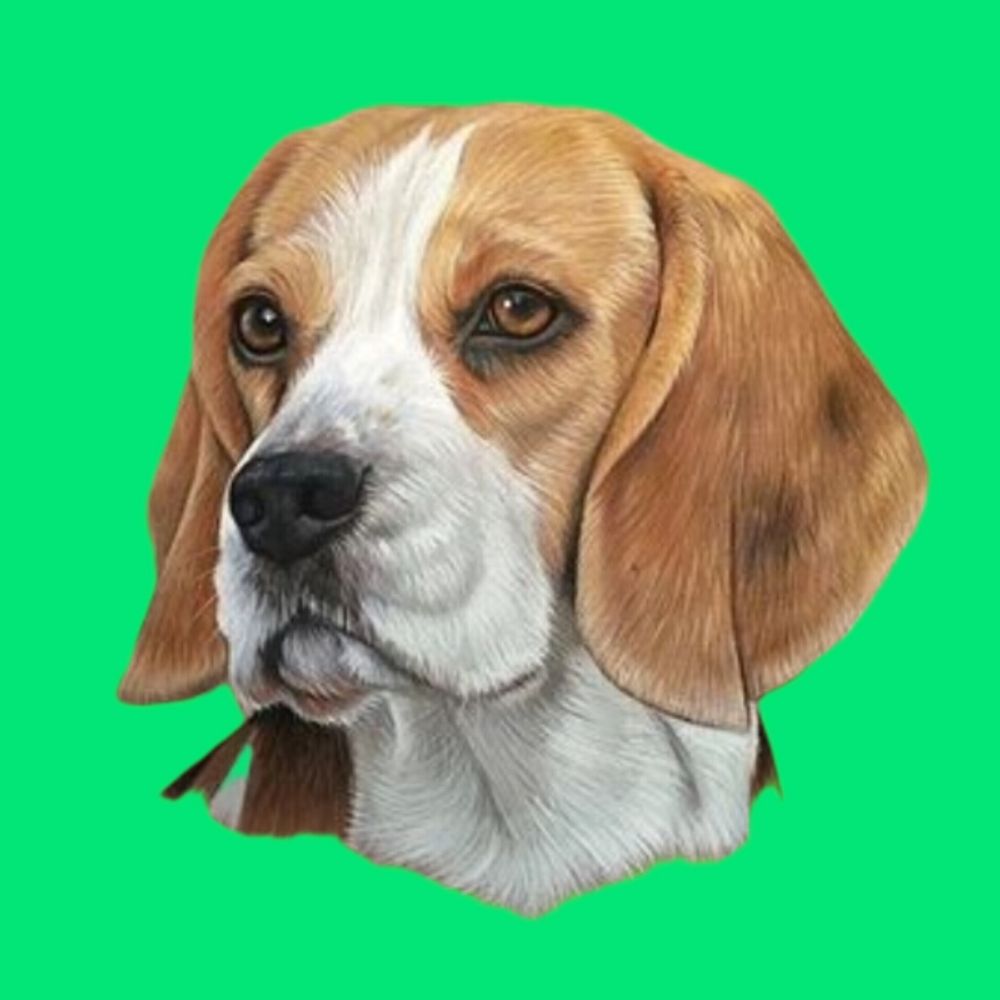 Ben_13