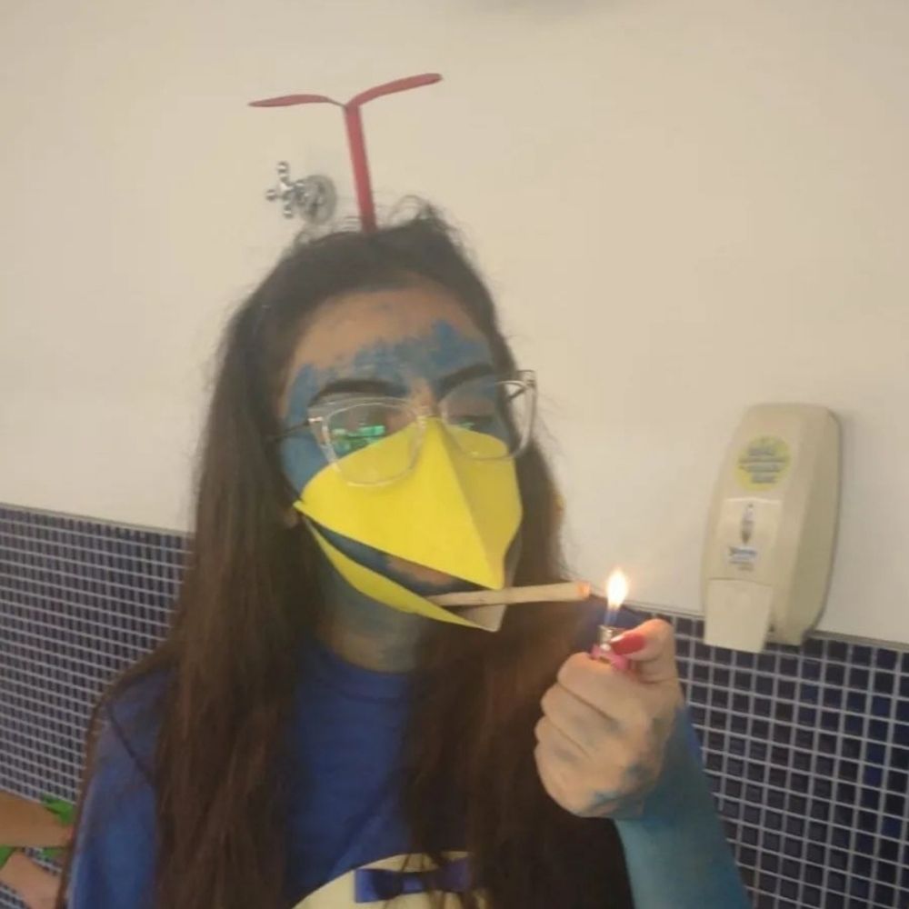 maria joaquina