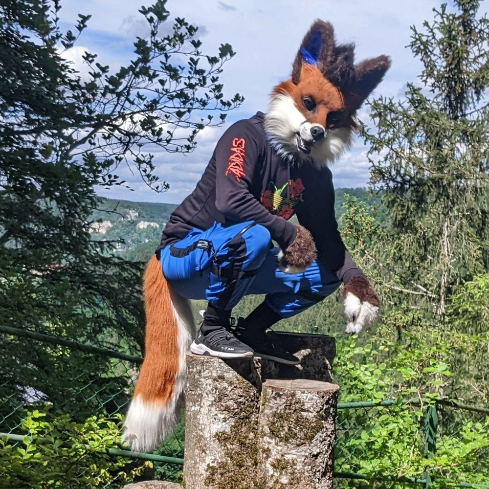 FuzzyFox