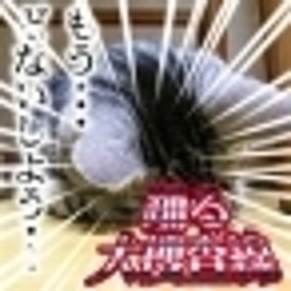 はっしー