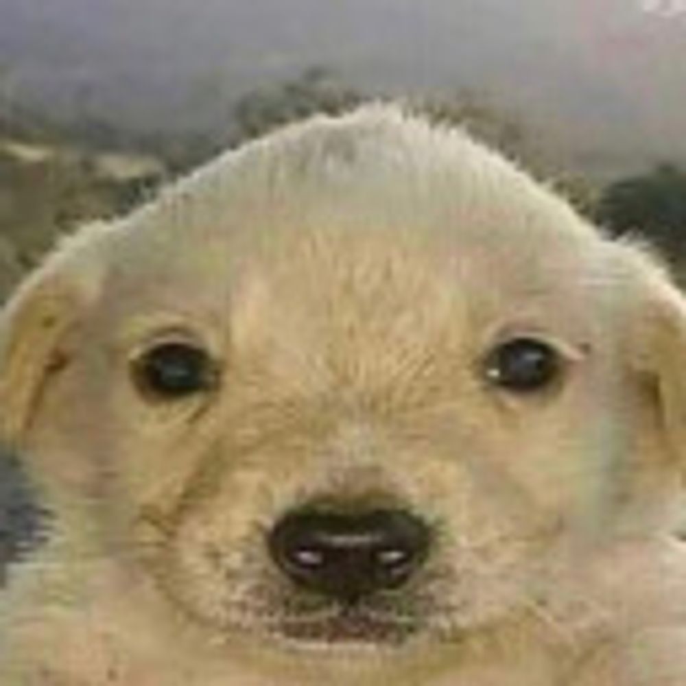 rara