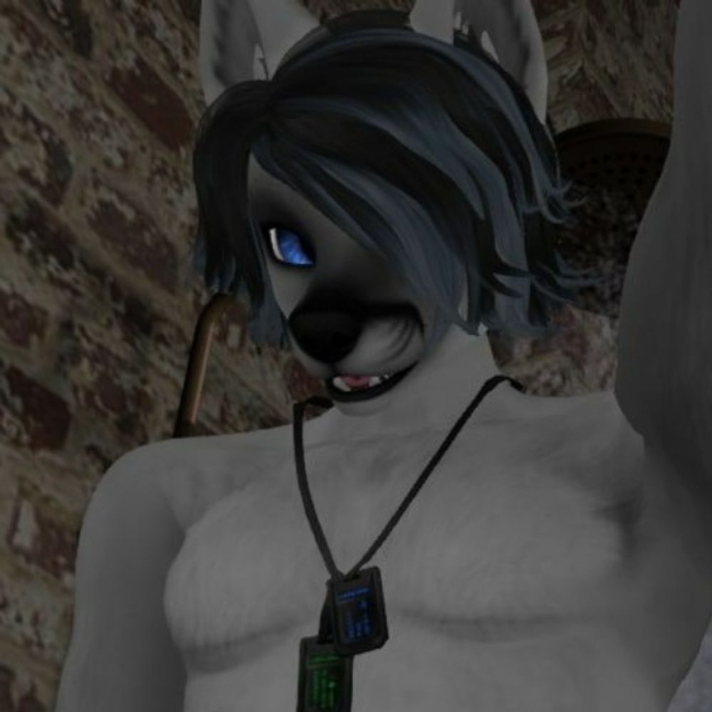 Arc Fox