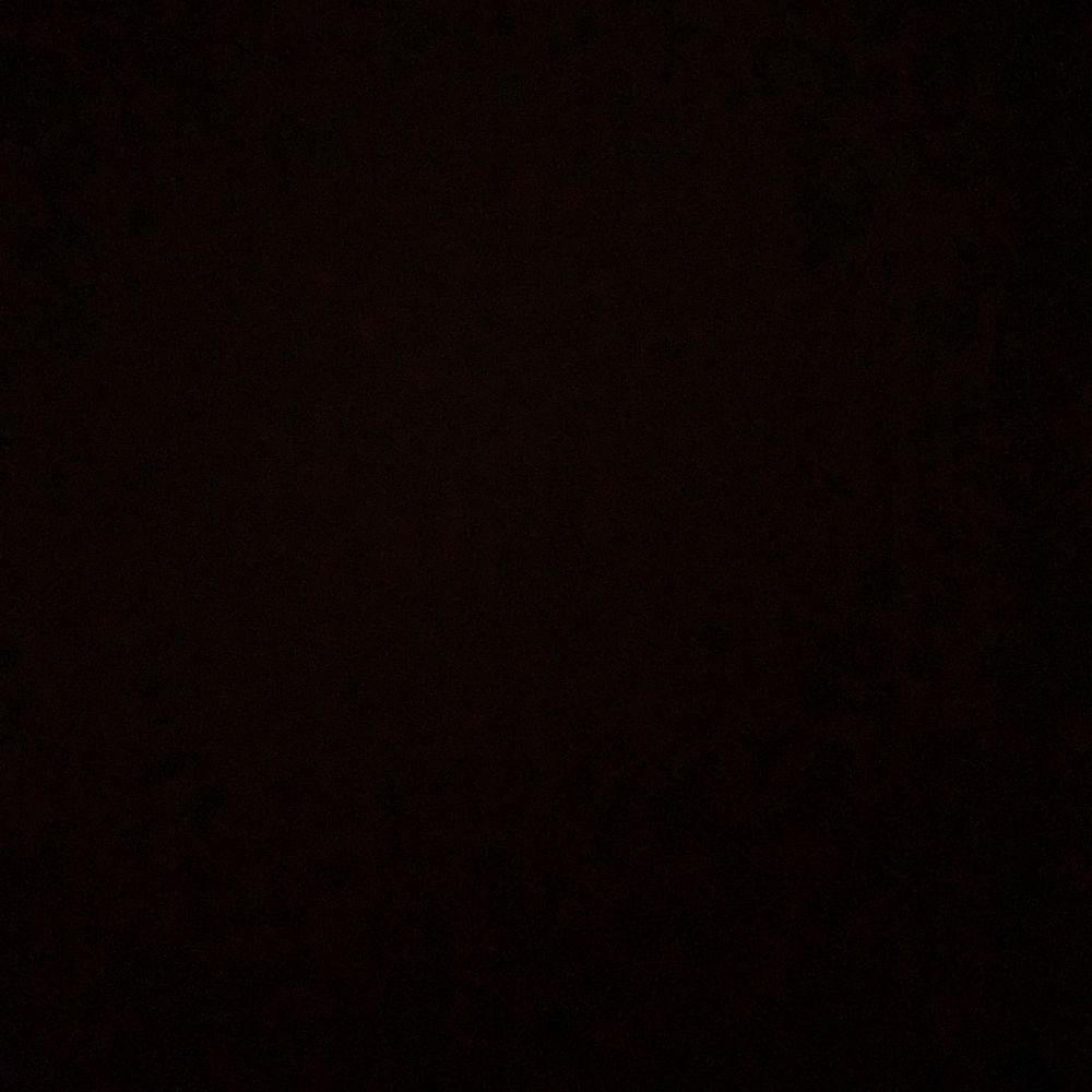 Silvz