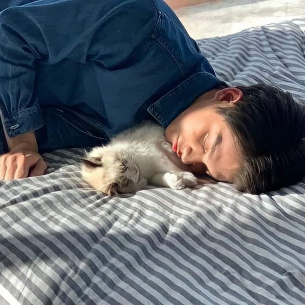 Ame is Brightvc's cat
