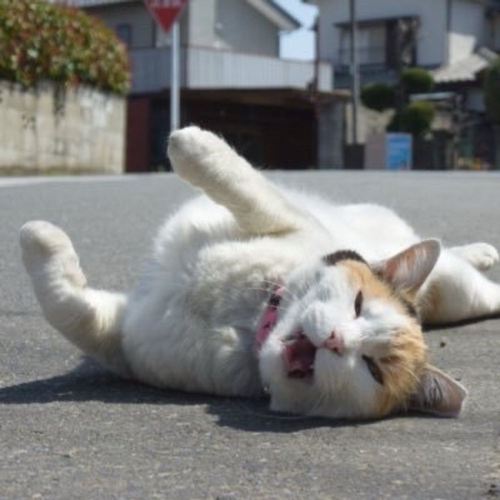 カヲリ